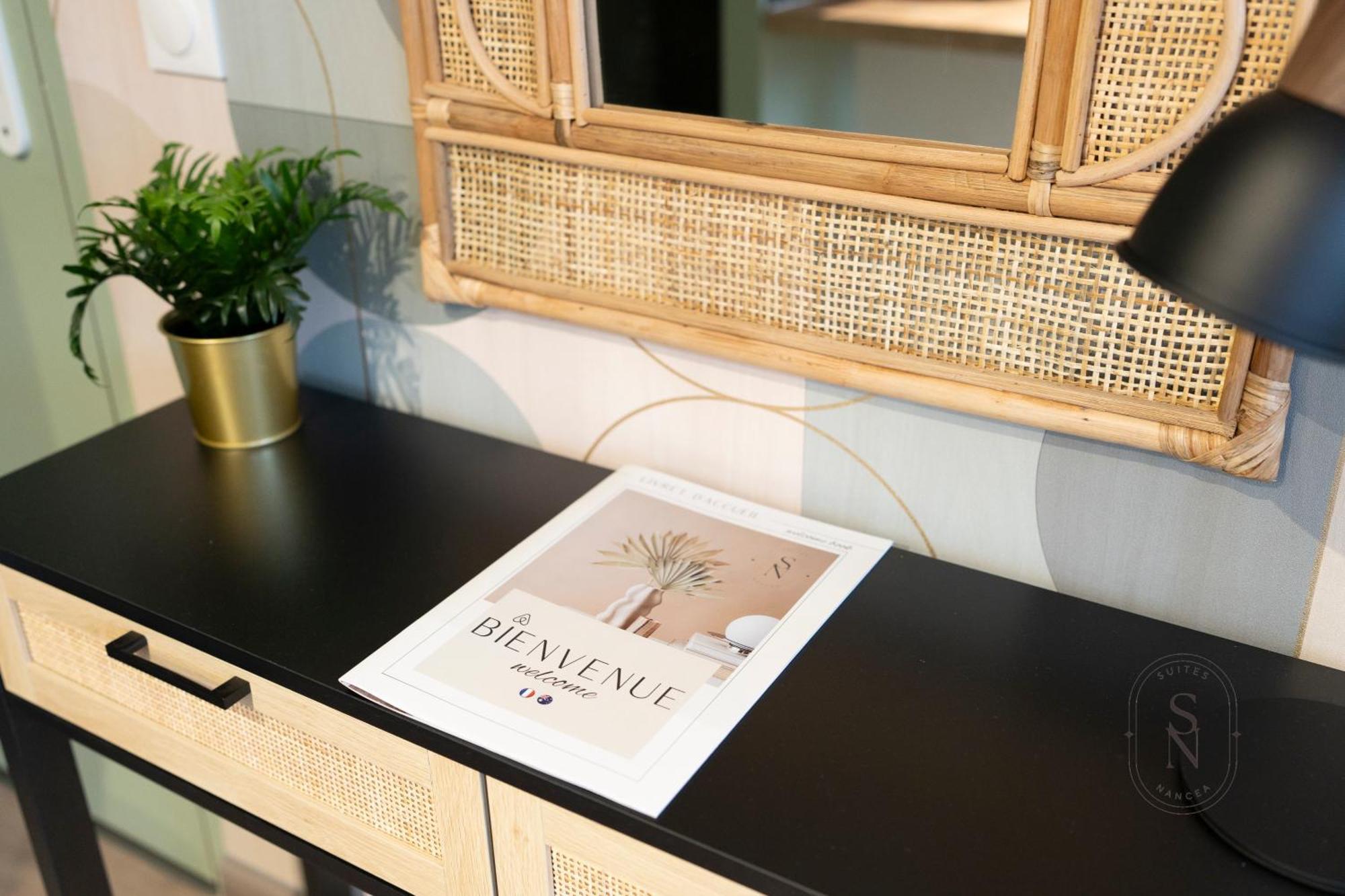 Apartament Vue Sur Le Palais - Nancy Gare Congres - Parking - T3 Zewnętrze zdjęcie